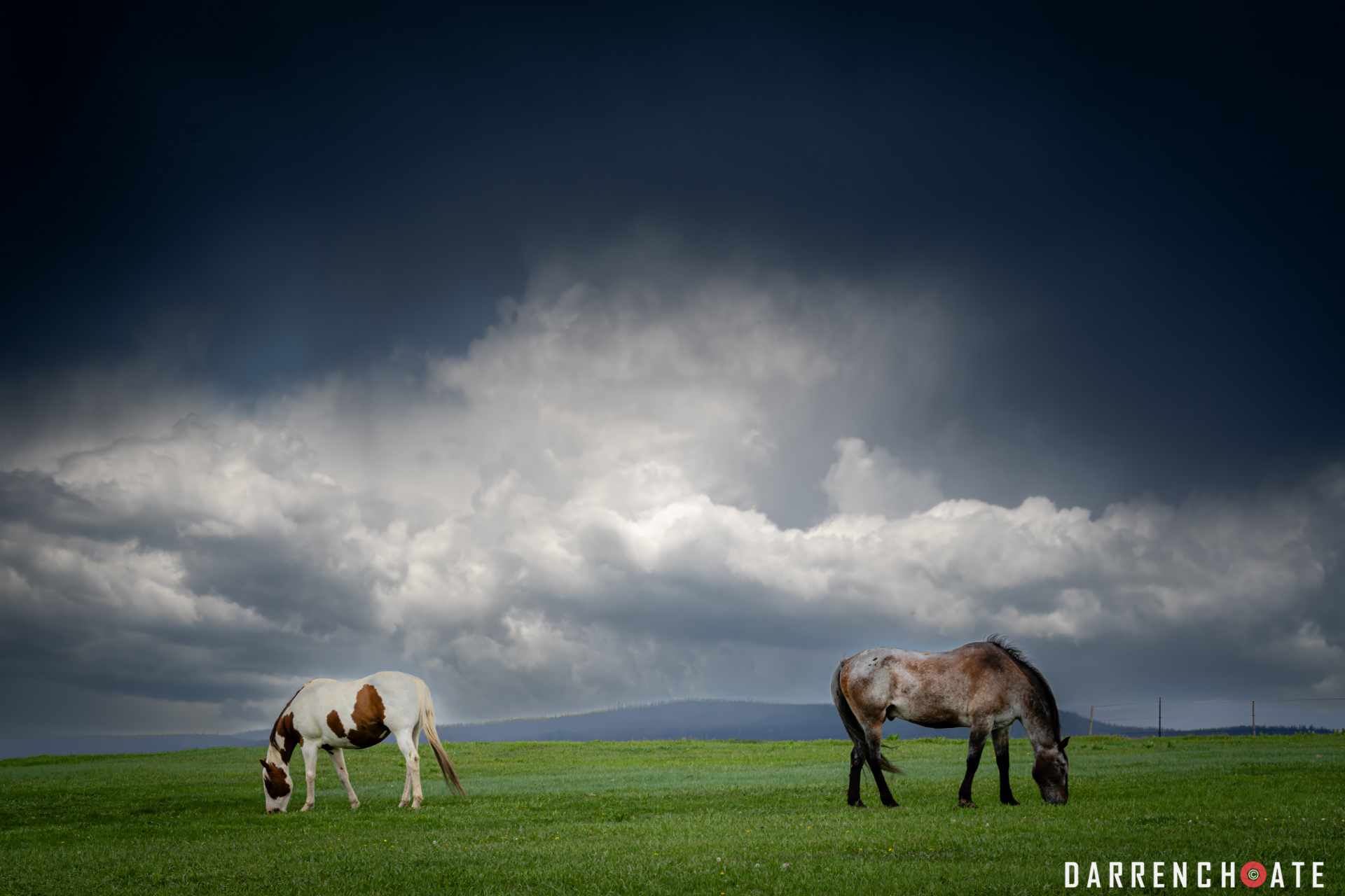 Storm Brewing