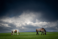 Storm Brewing