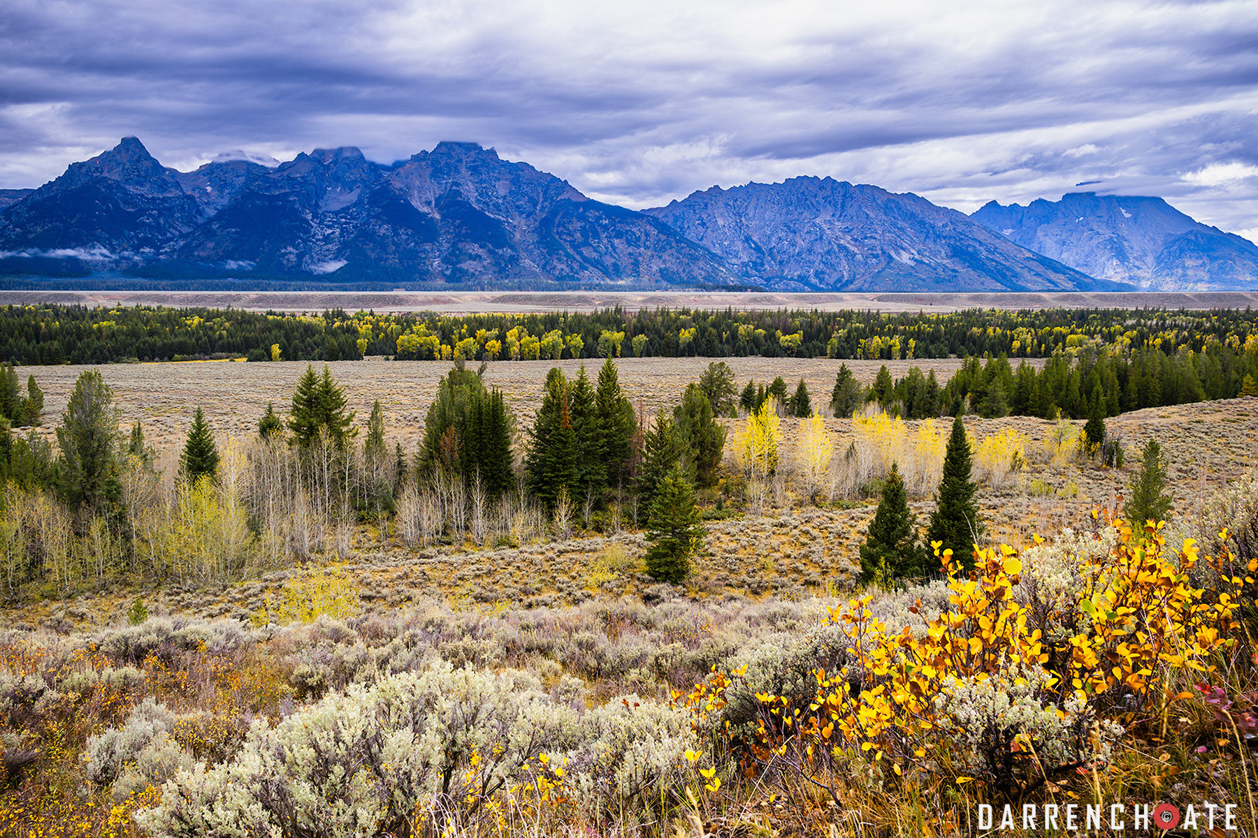 Fall Teton View