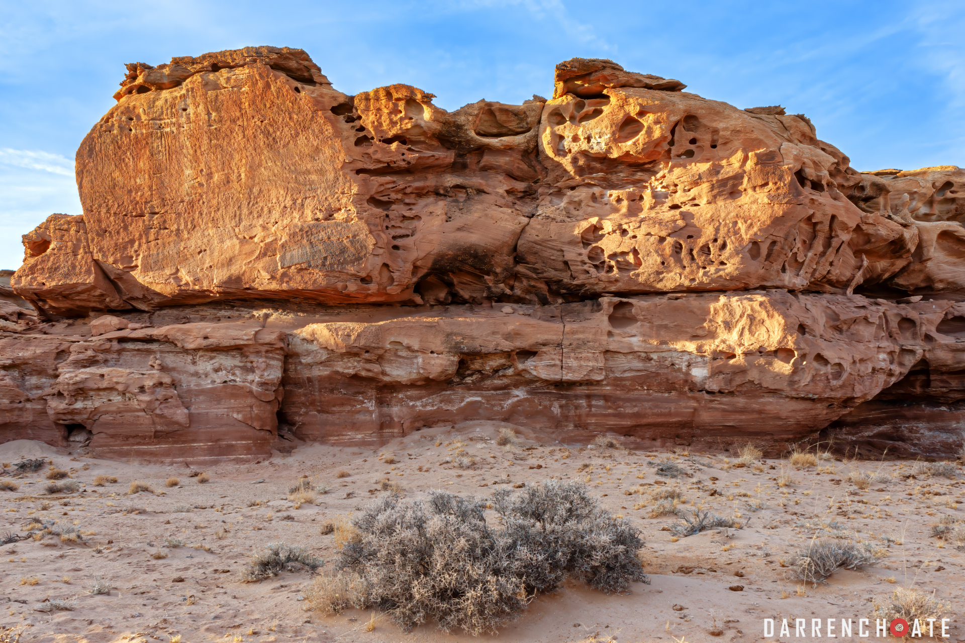 Brush and Sandstone
